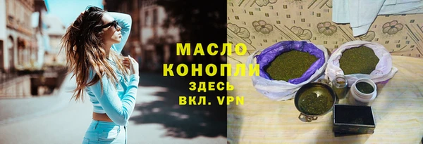 амф Верхний Тагил