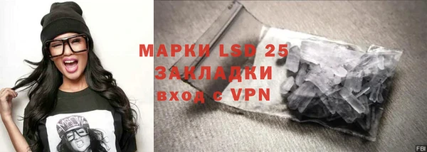 хмурый Верея