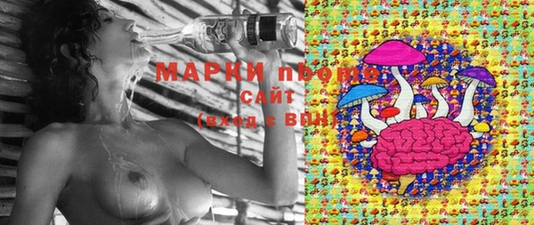 амф Верхний Тагил