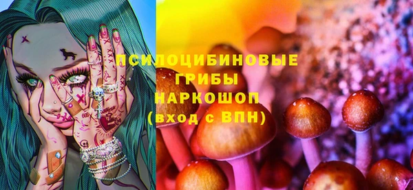 хмурый Верея