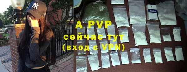 хмурый Верея