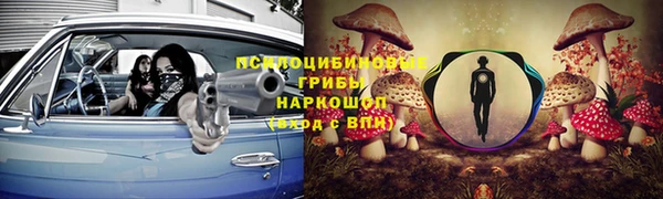 хмурый Верея