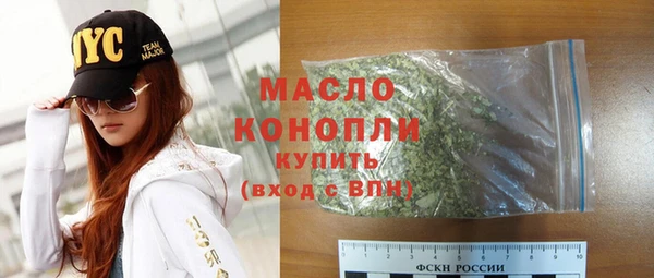 амф Верхний Тагил